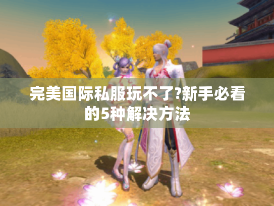 完美国际私服玩不了?新手必看的5种解决方法 完美国际私服玩不了?新手必看的5种解决方法