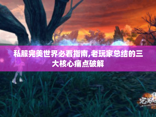 私服完美世界必看指南,老玩家总结的三大核心痛点破解