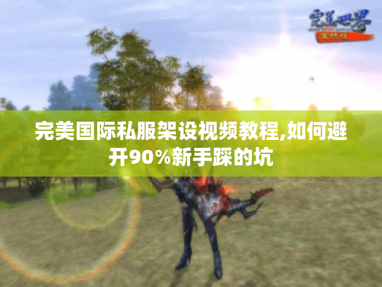 完美国际私服架设视频教程,如何避开90%新手踩的坑