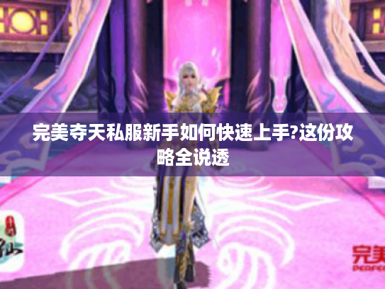 完美夺天私服新手如何快速上手?这份攻略全说透