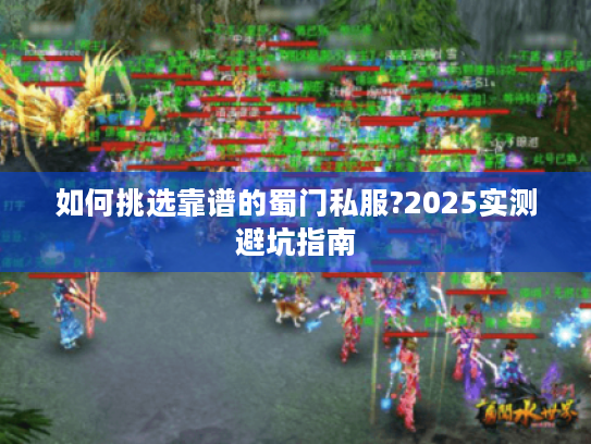 如何挑选靠谱的蜀门私服?2025实测避坑指南