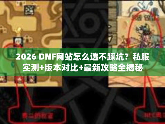 2026 DNF网站怎么选不踩坑？私服实测+版本对比+最新攻略全揭秘