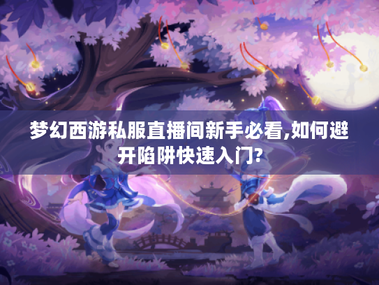 梦幻西游私服直播间新手必看,如何避开陷阱快速入门?
