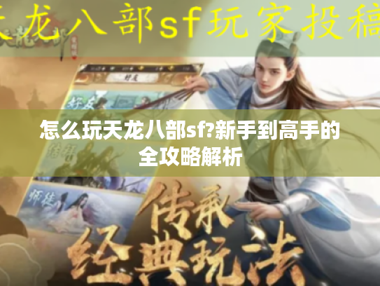 怎么玩天龙八部sf?新手到高手的全攻略解析