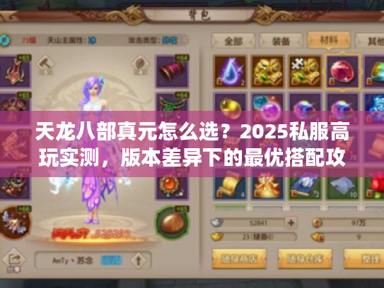 天龙八部真元怎么选？2025私服高玩实测，版本差异下的最优搭配攻略