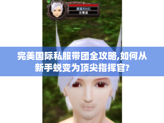 完美国际私服带团全攻略,如何从新手蜕变为顶尖指挥官?