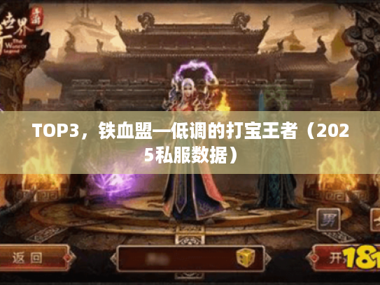 TOP3，铁血盟—低调的打宝王者（2025私服数据）