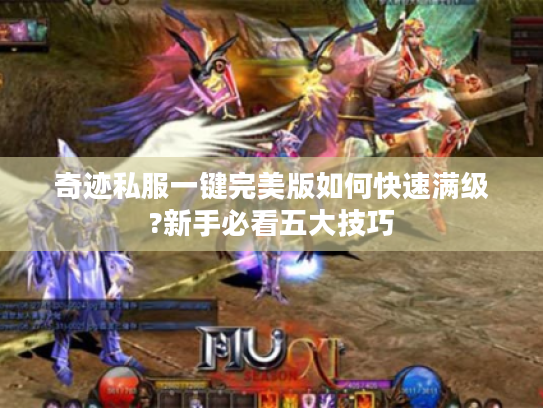 奇迹私服一键完美版如何快速满级?新手必看五大技巧 奇迹私服一键完美版如何快速满级?新手必看五大技巧