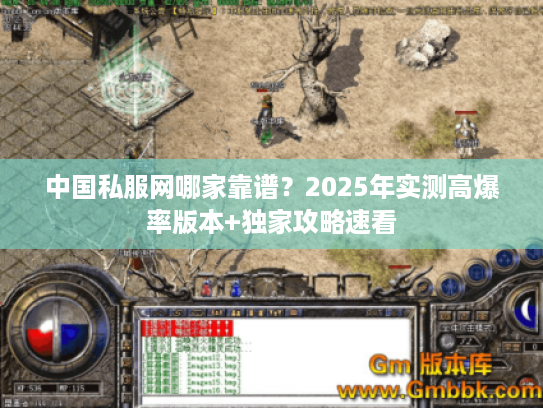 中国私服网哪家靠谱？2025年实测高爆率版本+独家攻略速看