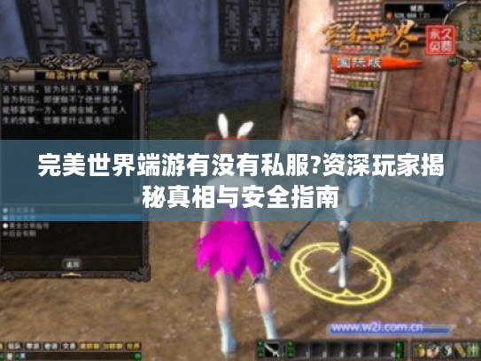 完美世界端游有没有私服?资深玩家揭秘真相与安全指南