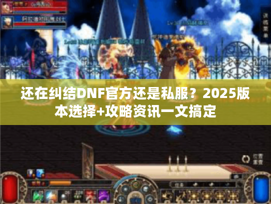还在纠结DNF官方还是私服？2025版本选择+攻略资讯一文搞定
