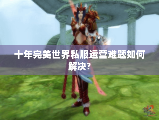 十年完美世界私服运营难题如何解决?