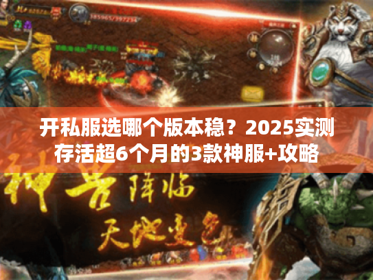 开私服选哪个版本稳？2025实测存活超6个月的3款神服+攻略