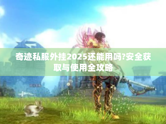 奇迹私服外挂2025还能用吗?安全获取与使用全攻略