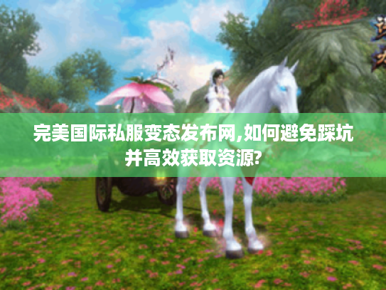 完美国际私服变态发布网,如何避免踩坑并高效获取资源?
