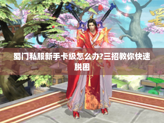 蜀门私服新手卡级怎么办?三招教你快速脱困 蜀门私服新手卡级怎么办?三招教你快速脱困