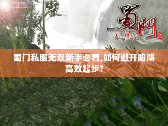 蜀门私服无双新手必看,如何避开陷阱高效起步?