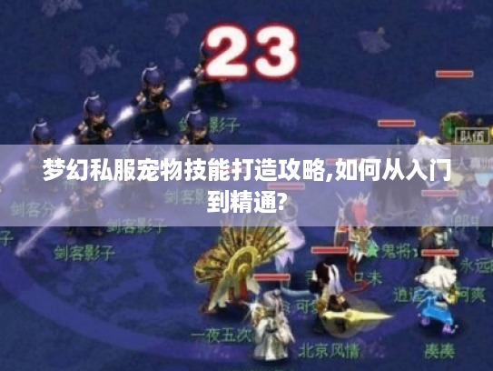 梦幻私服宠物技能打造攻略,如何从入门到精通?