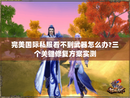 完美国际私服看不到武器怎么办?三个关键修复方案实测