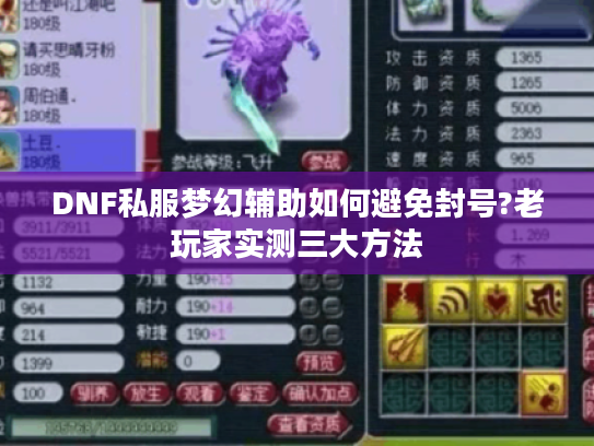 DNF私服梦幻辅助如何避免封号?老玩家实测三大方法