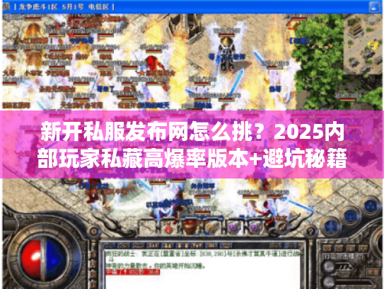 新开私服发布网怎么挑？2025内部玩家私藏高爆率版本+避坑秘籍