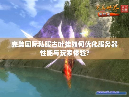 完美国际私服古叶挂如何优化服务器性能与玩家体验?