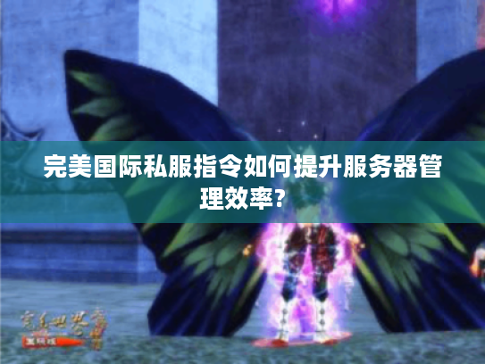 完美国际私服指令如何提升服务器管理效率?