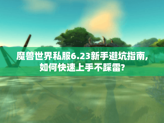 魔兽世界私服6.23新手避坑指南,如何快速上手不踩雷?