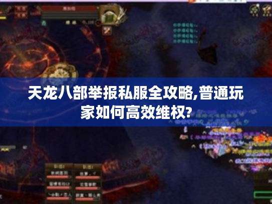 天龙八部举报私服全攻略,普通玩家如何高效维权?