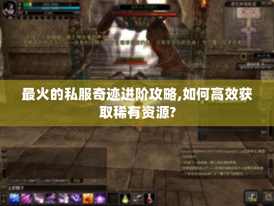 最火的私服奇迹进阶攻略,如何高效获取稀有资源?