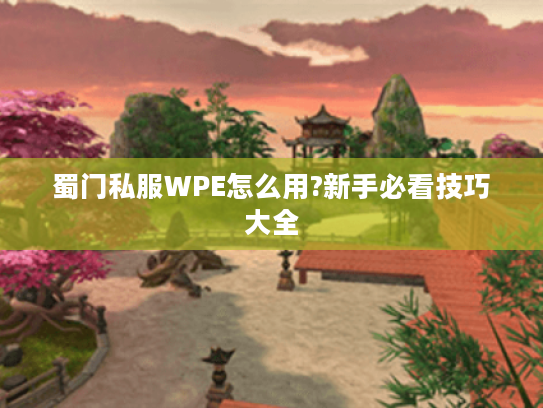 蜀门私服WPE怎么用?新手必看技巧大全
