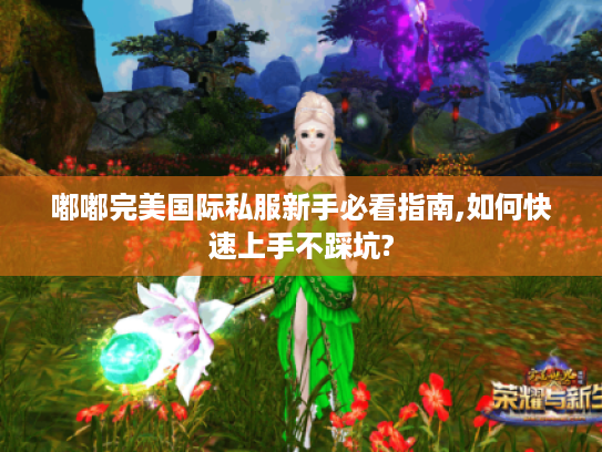 嘟嘟完美国际私服新手必看指南,如何快速上手不踩坑?