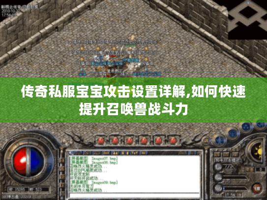传奇私服宝宝攻击设置详解,如何快速提升召唤兽战斗力