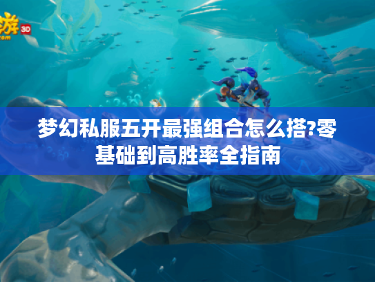 梦幻私服五开最强组合怎么搭?零基础到高胜率全指南