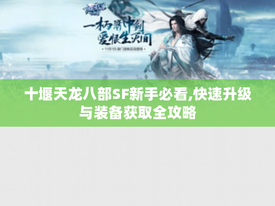 十堰天龙八部SF新手必看,快速升级与装备获取全攻略