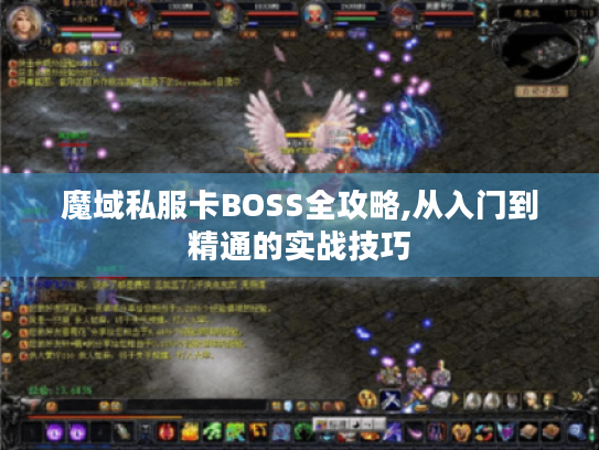 魔域私服卡BOSS全攻略,从入门到精通的实战技巧
