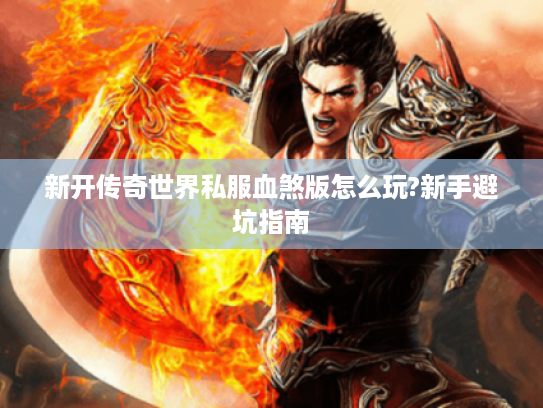 新开传奇世界私服血煞版怎么玩?新手避坑指南