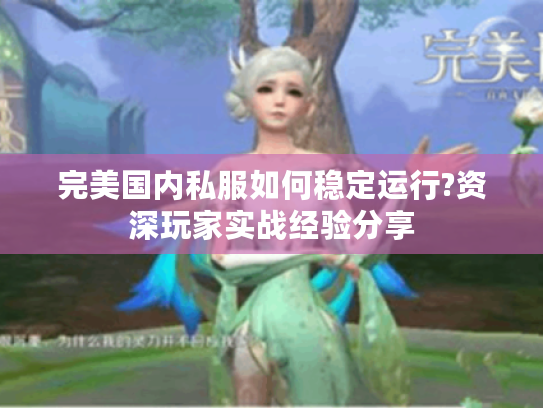 完美国内私服如何稳定运行?资深玩家实战经验分享