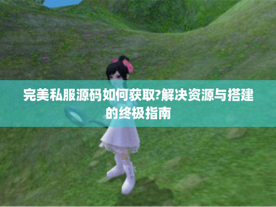 完美私服源码如何获取?解决资源与搭建的终极指南 完美私服源码如何获取?解决资源与搭建的终极指南