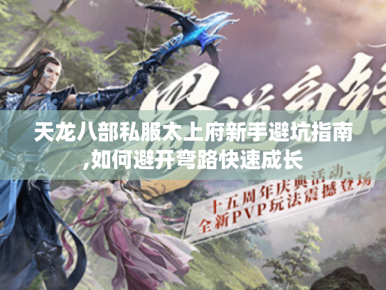 天龙八部私服太上府新手避坑指南,如何避开弯路快速成长