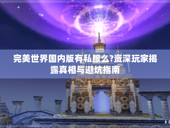 完美世界国内版有私服么?资深玩家揭露真相与避坑指南