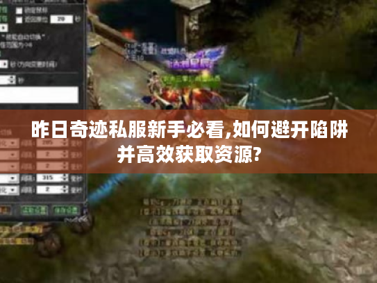 昨日奇迹私服新手必看,如何避开陷阱并高效获取资源? 昨日奇迹私服新手必看,如何避开陷阱并高效获取资源?