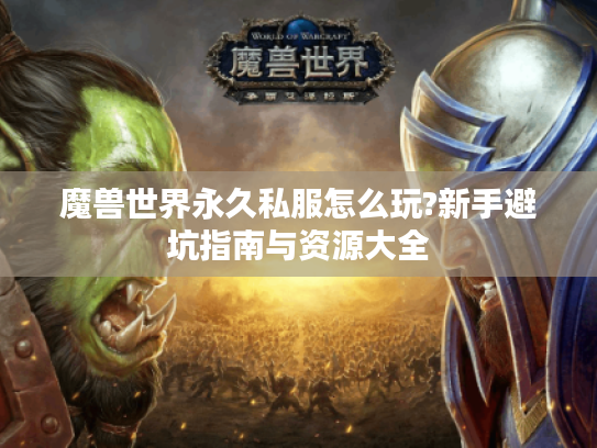 魔兽世界永久私服怎么玩?新手避坑指南与资源大全