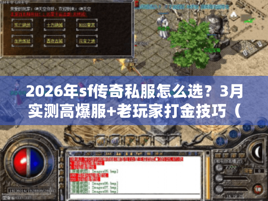 2026年sf传奇私服怎么选？3月实测高爆服+老玩家打金技巧（含隐藏攻略）