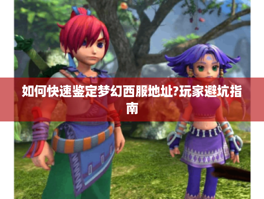 如何快速鉴定梦幻西服地址?玩家避坑指南