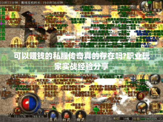 可以赚钱的私服传奇真的存在吗?职业玩家实战经验分享