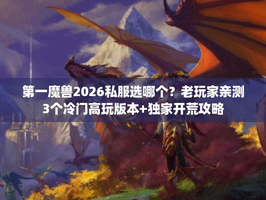 第一魔兽2026私服选哪个？老玩家亲测3个冷门高玩版本+独家开荒攻略