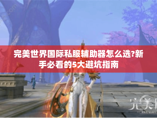 完美世界国际私服辅助器怎么选?新手必看的5大避坑指南