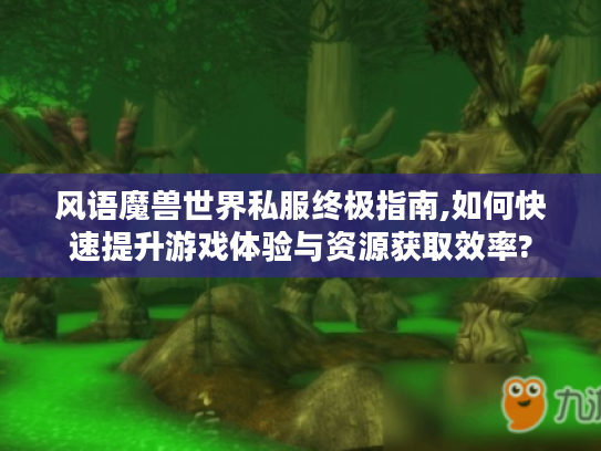 风语魔兽世界私服终极指南,如何快速提升游戏体验与资源获取效率?