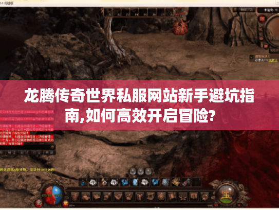 龙腾传奇世界私服网站新手避坑指南,如何高效开启冒险?